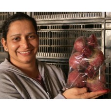 SPRAY FREE BEETROOT Medium Size Red  1.3 KG Bag  Katikati Grown